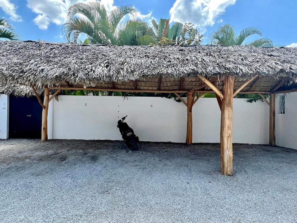 Villa Clarissa No. 8 Las Terrenas Ngoại thất bức ảnh