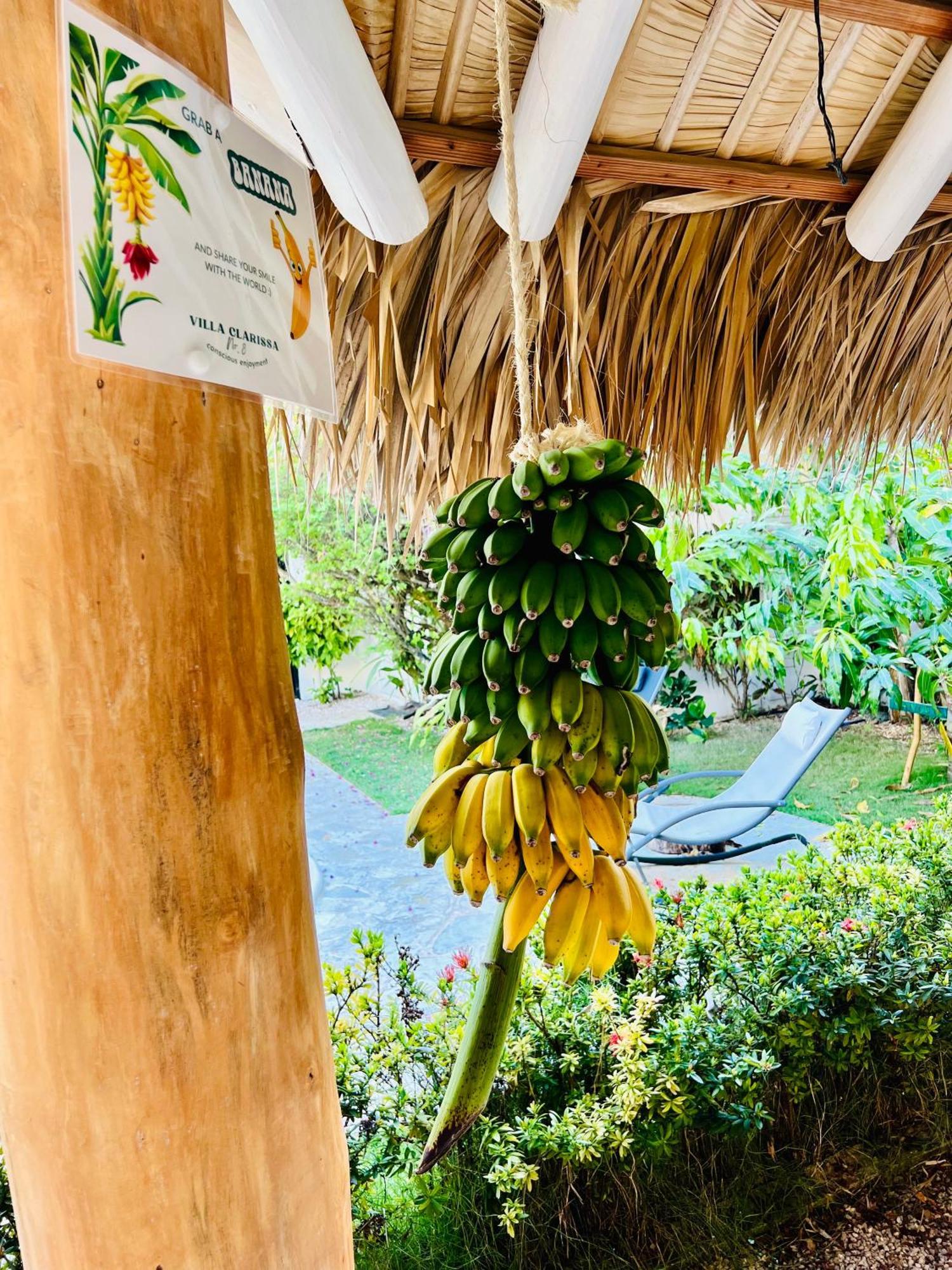 Villa Clarissa No. 8 Las Terrenas Ngoại thất bức ảnh